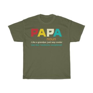 Papa Definition Cooler Vintage Shirt